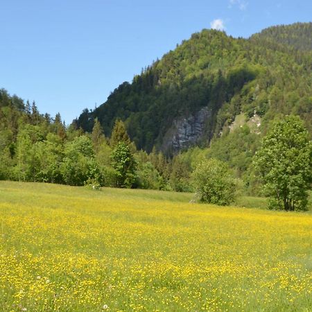Heustubn Ferienwohnungen Unken Kültér fotó